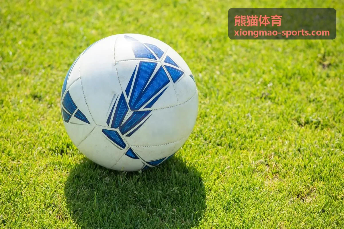 职业俱乐部训练外包